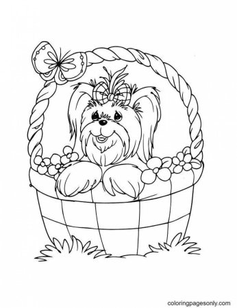 Раскраска собачка