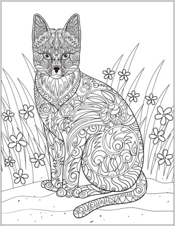 Кошка раскраска красивая