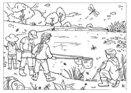 Раскраска. Лето