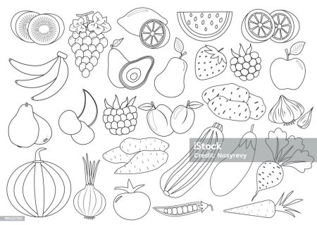 Набор фруктов раскраска