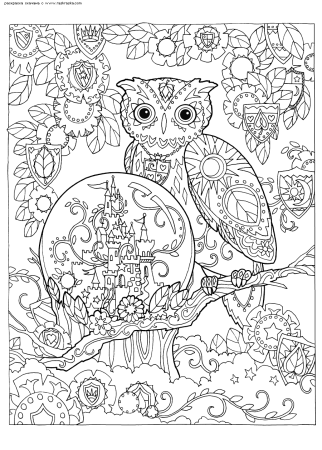 Sarnat Marjorie "Совушки"