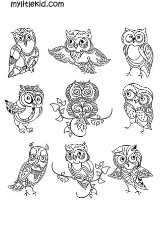 Раскраски Совушки маленькие