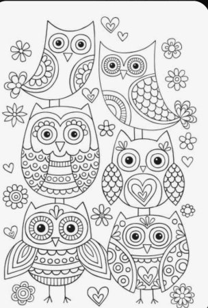 Семья сов раскраска