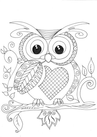 Сова раскраска для детей