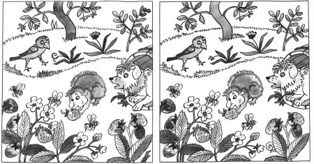 Задания для детей Найди отличия