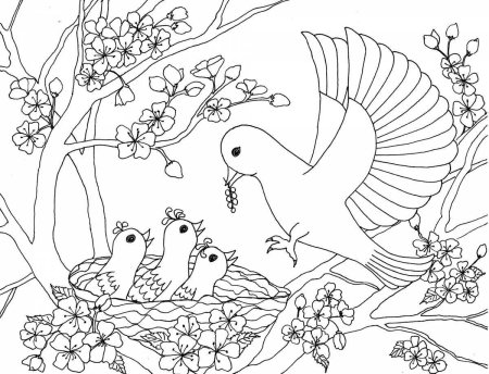 Птичка раскраска