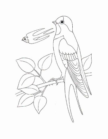 Раскраска "перелетные птицы"