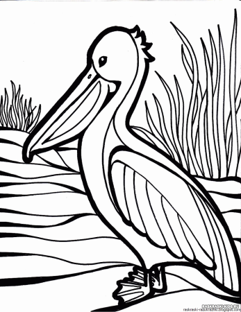 Птицы раскраска для детей
