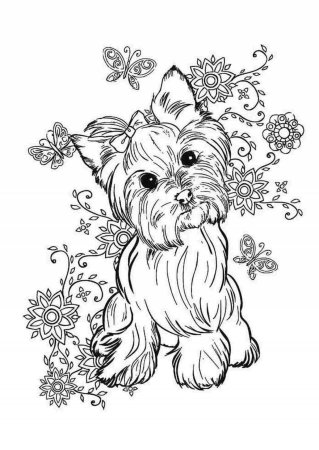 Йоркширский терьер