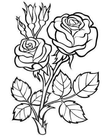 Раскраски цветов