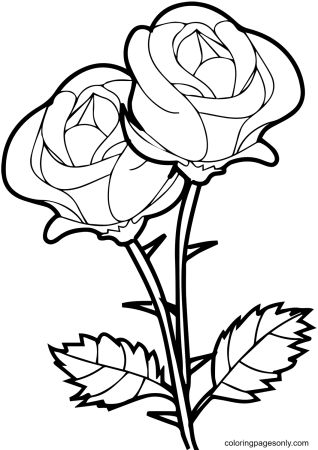 Раскраски цветов