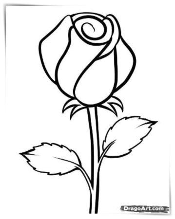 Раскраски для самых маленьких роза