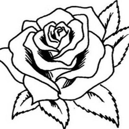 Роза для выжигания