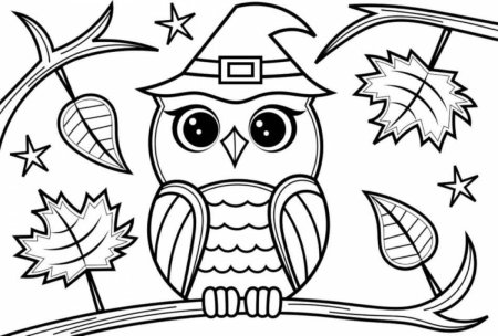 Draw Owl for Kids