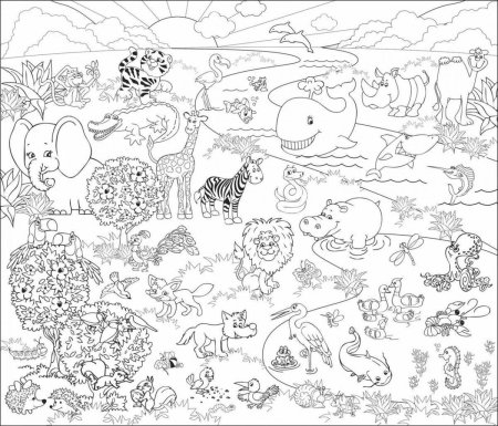 Раскраски большие