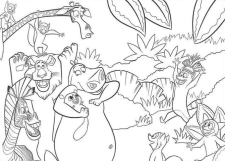 Раскраска джунглей Мадагаскар
