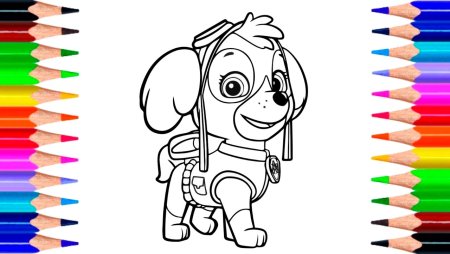 Раскраски разноцветные