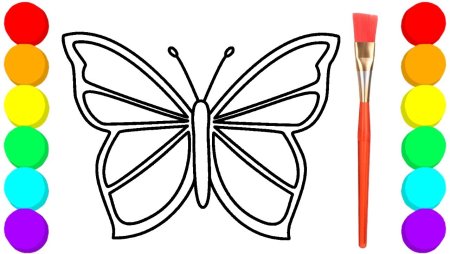 Краски и раскраски