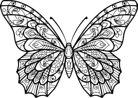 Раскраски бабочки красивые