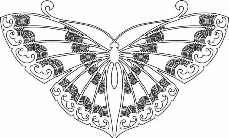 Раскраска "бабочки"