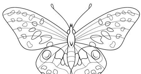 Бабочка раскраска для детей