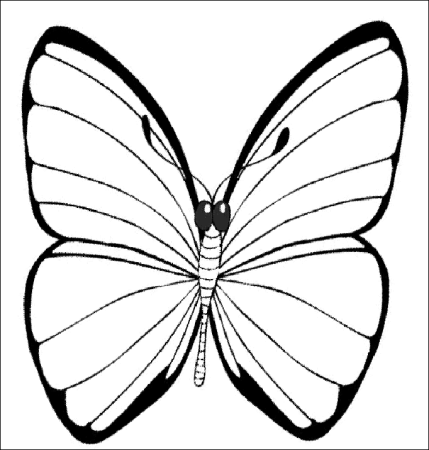 Бабочка голубянка раскраска