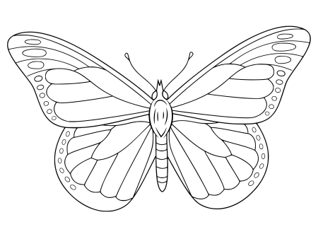 Рисунок бабочки для раскрашивания
