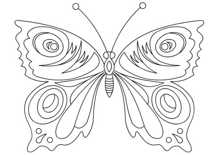 Раскраска "бабочки"
