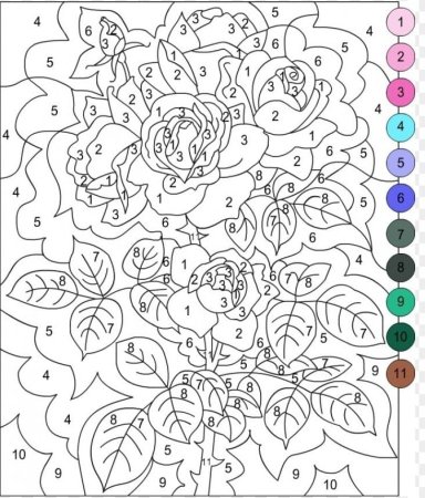 Раскраски по номерам для взрослых