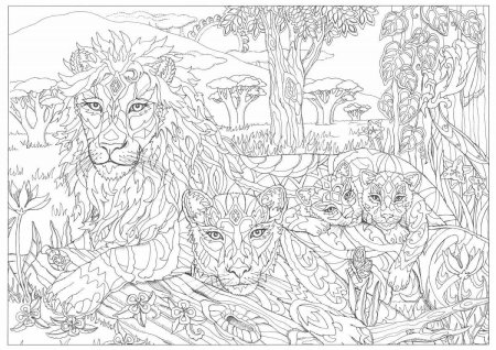 Раскраскиантистрес Совы