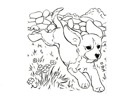 Щенки в корзинке раскраска