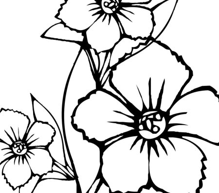 Раскраски цветов для детей 6-7 лет