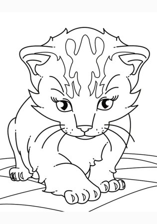 Раскраска. Котики