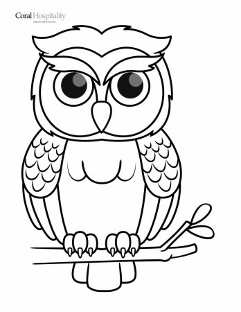 Библиотека Сова раскраска