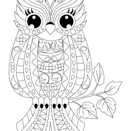 Сова раскраска