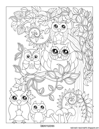 Раскраска Совенок