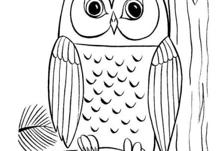 Раскраска Сова на пеньке