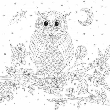 Раскраска волшебные Совы