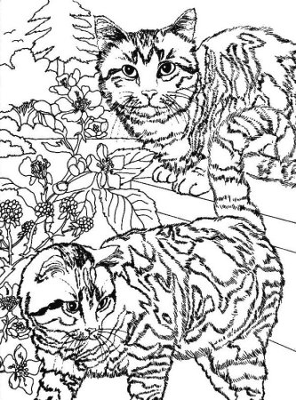 Новогодниикотята раскраски