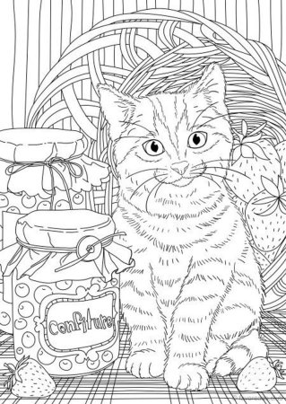 Кошки. Раскраска