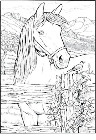 Раскраска картина