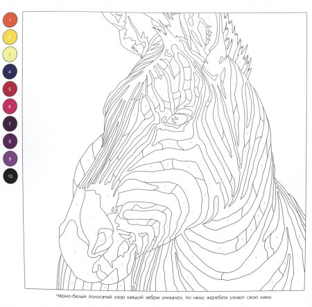 Картина разукрашивать по номерам