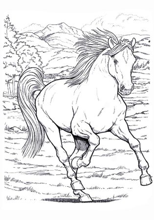 Рисунки для разукрашивания