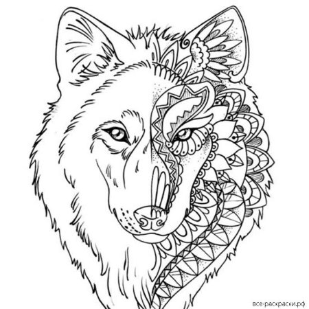Раскраска волк
