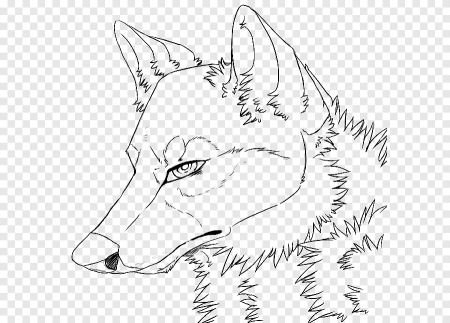 Морда волка раскраска