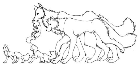 Раскраска волк с волчатами