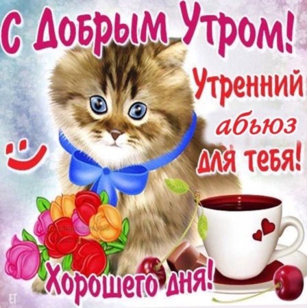 Пожелания с добрым утром девушке