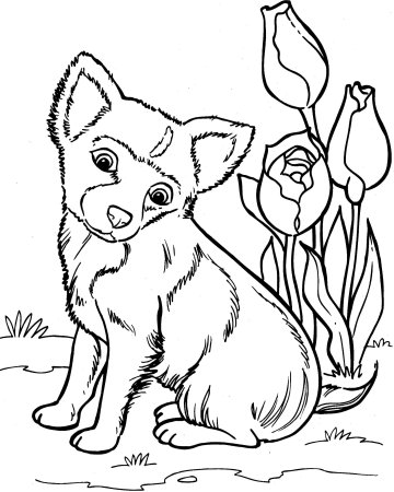 Собака раскраска для детей