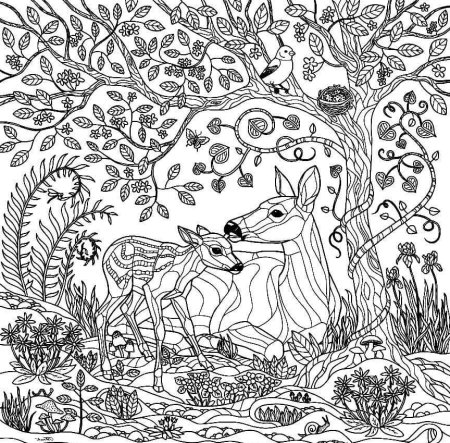 Раскраска антистресс природа