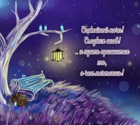 Спокойной ночи Светлана